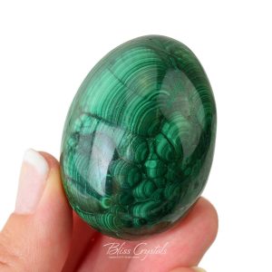 125 Gm Malachite Egg Polished Sphere W Stand Healing Crystal And Stone Collector Display Protection #me23 125 Gm Malachite Egg Polished Sphere W Stand Healing Crystal And Stone Collector Display Protection #me23