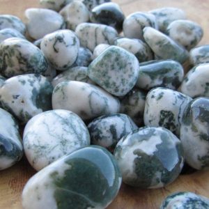 Father's Day Sale! Tree Agate Tumbled Stone Set Of 10 Pieces Chakra Healing Crystal Gemstone, Free Shipping Healing Crystal Father's Day Sale! Tree Agate Tumbled Stone Set Of 10 Pieces Chakra Healing Crystal Gemstone, Free Shipping Healing Crystal