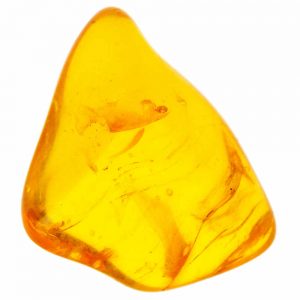 Amber Meaning