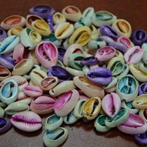 100 Pcs Dyed Bulk Cut Sea Shell Beads Cowrie | Shop jewelry making and beading supplies, tools & findings for DIY jewelry making and crafts. #jewelrymaking #diyjewelry #jewelrycrafts #jewelrysupplies #beading #affiliate #ad