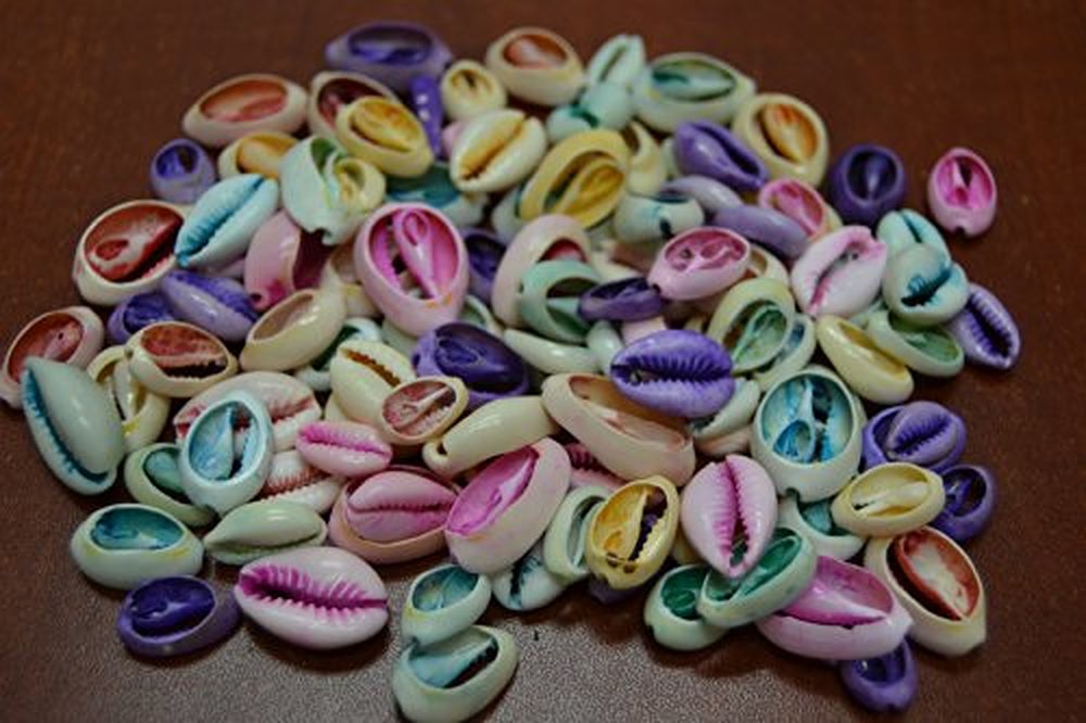 100 Pcs Dyed Bulk Cut Sea Shell Beads Cowrie