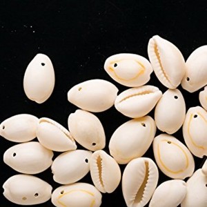 14-20mm Cowrie Shell Beads sold per 130g | Shop jewelry making and beading supplies, tools & findings for DIY jewelry making and crafts. #jewelrymaking #diyjewelry #jewelrycrafts #jewelrysupplies #beading #affiliate #ad