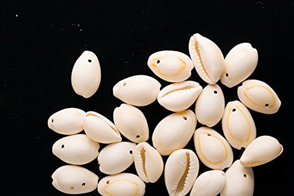14-20mm Cowrie Shell Beads Sold Per 130g