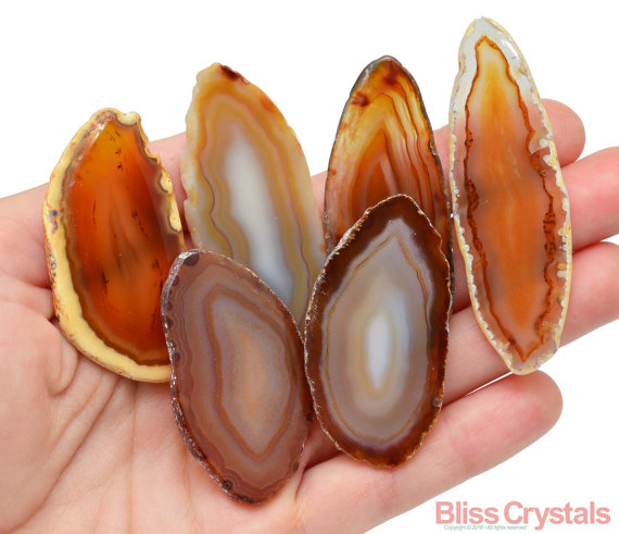 1 Large Fancy Gold Agate Slab Slice (1.5" - 1.9) Polished Crystal Gift Healing Crystal And Stone Stand Optional #sr55