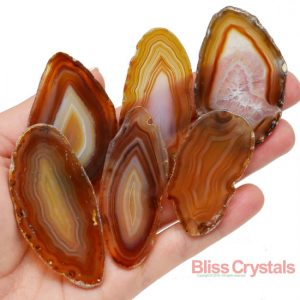 Shop Agate Shapes! 1 XL Fancy GOLD AGATE Slab Slice (2" – 2.5") Polished Crystal Gift Healing Crystal and Stone Stand Optional #SR54 | Natural genuine stones & crystals in various shapes & sizes. Buy raw cut, tumbled, or polished gemstones for making jewelry or crystal healing energy vibration raising reiki stones. #crystals #gemstones #crystalhealing #crystalsandgemstones #energyhealing #affiliate #ad