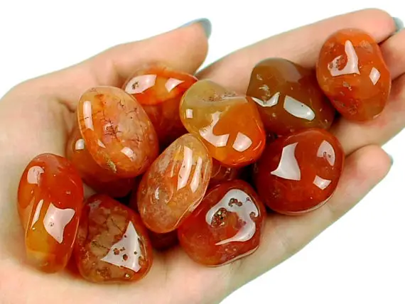 Carnelian Tumbled Stone, Carnelian, Tumbled Stones, Stones, Crystals, Rocks, Gifts, Gemstones, Gems, Zodiac Crystals, Healing Crystals