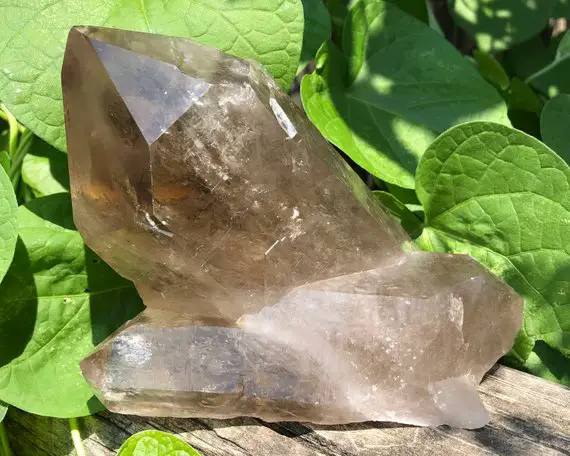 5.8" Large Natural Smoky Quartz Cluster From Brazil, Real Raw Smoky Elestial Quartz Crystal, For Protection, Grounding, Home Decor Gift #2d
