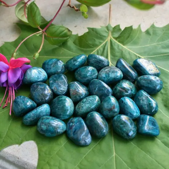 One Blue Apatite Polished Tumbled Stone From Madagascar, 0.75 - 1.05" In Length Each, Weight:  6-10 Grams Each.