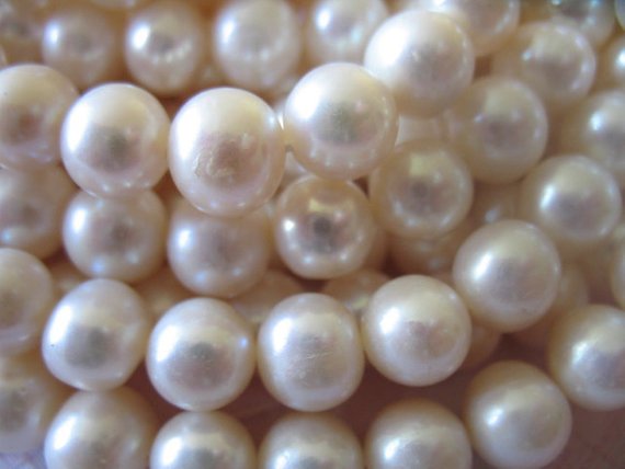 White Round Pearls, Freshwater Cultured Pearls, Luxe Aa, 1/2 Strand, 8-9 Mm, Wholesale June Birthstone Bridal Weddings Rw 89