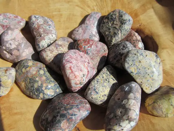 Leopard Skin Jasper Tumbled Stone 1 Inch + Crystal