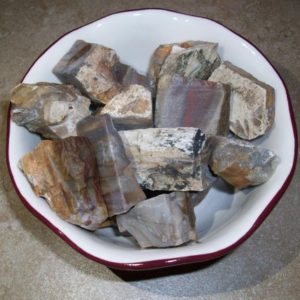 Shop Raw & Rough Petrified Wood Stones! Petrified Wood Raw Stones | Natural genuine stones & crystals in various shapes & sizes. Buy raw cut, tumbled, or polished gemstones for making jewelry or crystal healing energy vibration raising reiki stones. #crystals #gemstones #crystalhealing #crystalsandgemstones #energyhealing #affiliate #ad