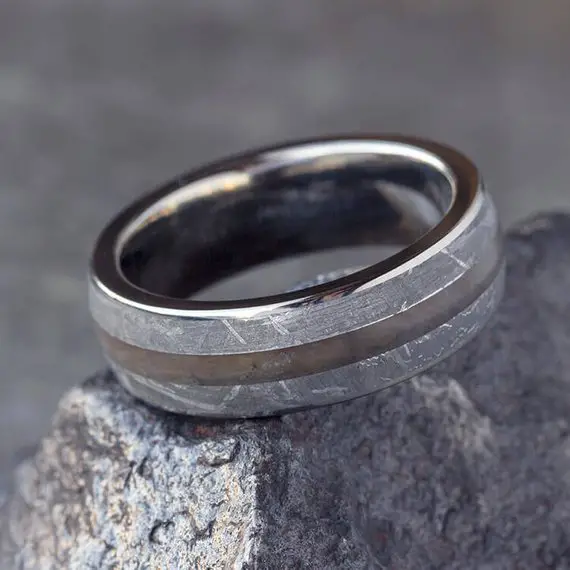 Petrified Wood & Meteorite Men's Wedding Ring Crafted In Titanium