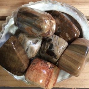 Petrified Wood Tumbled Stone, Healing Stone, Healing Crystals,Chakra Stone, Spiritual Stone | Natural genuine stones & crystals in various shapes & sizes. Buy raw cut, tumbled, or polished gemstones for making jewelry or crystal healing energy vibration raising reiki stones. #crystals #gemstones #crystalhealing #crystalsandgemstones #energyhealing #affiliate #ad