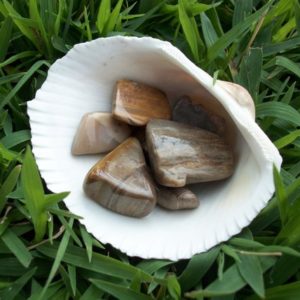 Petrified Wood Tumbled Stones | Natural genuine stones & crystals in various shapes & sizes. Buy raw cut, tumbled, or polished gemstones for making jewelry or crystal healing energy vibration raising reiki stones. #crystals #gemstones #crystalhealing #crystalsandgemstones #energyhealing #affiliate #ad