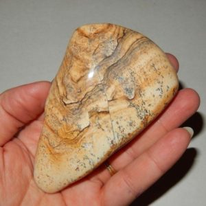 Picture Jasper Palm | Natural genuine stones & crystals in various shapes & sizes. Buy raw cut, tumbled, or polished gemstones for making jewelry or crystal healing energy vibration raising reiki stones. #crystals #gemstones #crystalhealing #crystalsandgemstones #energyhealing #affiliate #ad