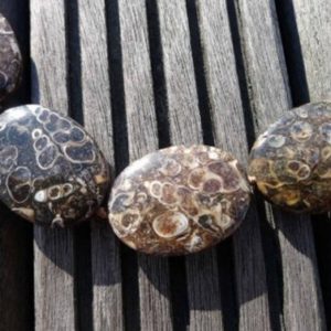 Shop Agate Bead Shapes! Turritella agate 16-18mm oval beads (ETB00857) | Natural genuine other-shape Agate beads for beading and jewelry making.  #jewelry #beads #beadedjewelry #diyjewelry #jewelrymaking #beadstore #beading #affiliate #ad