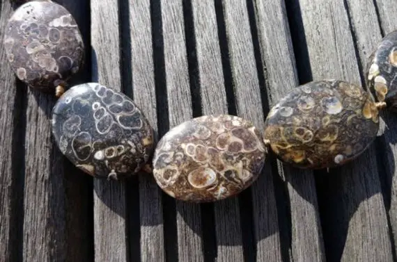 Turritella Agate 16-18mm Oval Beads (etb00857)