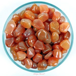 Shop Tumbled Carnelian Crystals & Pocket Stones! One Carnelian Tumbled Stone, Carnelian Tumbled Stones, Zodiac Carnelian Stones, Zodiac Crystals, Zodiac Stones, Dark Carnelian Stones, Dark | Natural genuine stones & crystals in various shapes & sizes. Buy raw cut, tumbled, or polished gemstones for making jewelry or crystal healing energy vibration raising reiki stones. #crystals #gemstones #crystalhealing #crystalsandgemstones #energyhealing #affiliate #ad