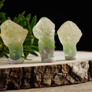 Green FLUORITE Raw Crystal Mushroom – Metaphysical, Home Decor, Raw Crystals and Stones, E1441 | Natural genuine stones & crystals in various shapes & sizes. Buy raw cut, tumbled, or polished gemstones for making jewelry or crystal healing energy vibration raising reiki stones. #crystals #gemstones #crystalhealing #crystalsandgemstones #energyhealing #affiliate #ad