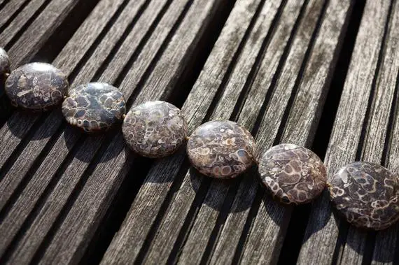 Turritella Agate 28-32mm Round Disc Beads (etb00336)