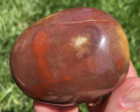 Polished Petrified Wood Palm Stone / Rainbow Red Pink Purple And Yellow Gallet Fossil #13