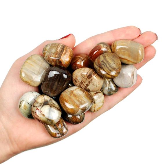 Petrified Wood Tumbled Stone, Petrified Wood, Tumbled Stones, Wood, Stones, Rocks, Crystals, Gifts, Healing Crystals, Zodiac Crystals, Gems