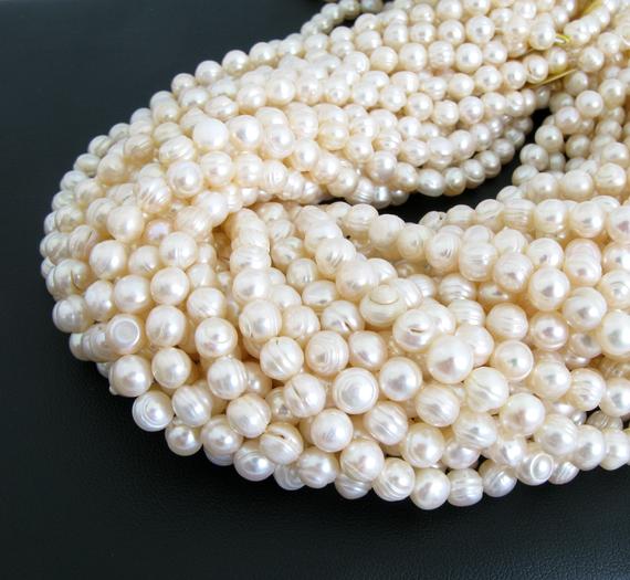 6mm Round Potato Pearls, Ivory White Pearls, Freshwater Pearls, Genuine Pearls, Full Strand Freshwater Pearls, 16 Inch Strand, Pearl204