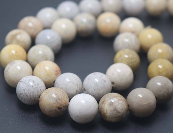 Natural Fossil Coral Jasper Smooth And Round Beads,6mm/8mm/10mm/12mm Jewelry Making Beads Supply,15 Inches One Starand