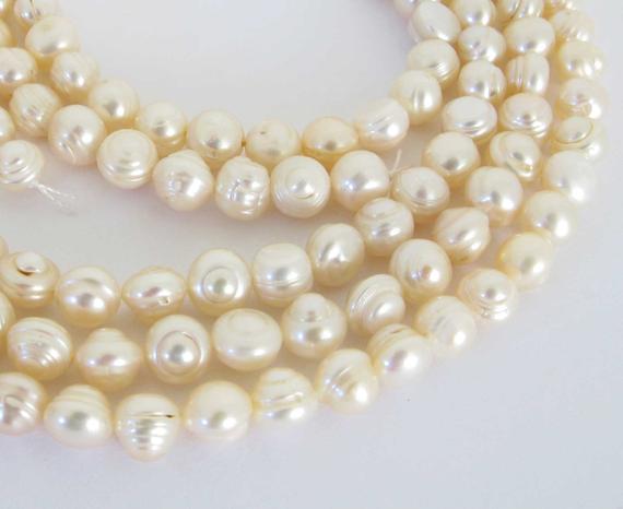 6mm Round Potato Pearls, Ivory White Pearls, Freshwater Pearls, Genuine Pearls, Full Strand Freshwater Pearls, 16 Inch Strand, Pearl204