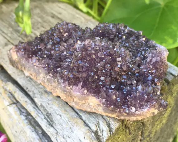 Amethyst Rosette Cluster From Alacham Mine, Turkey #8 Dark Purple Crystal Druzy, February Birthstone Gift For Her, Anxiety, Aquarius Pisces