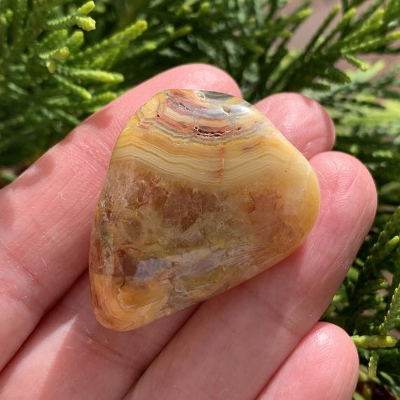 Crazy Lace Agate Tumbled Stone 1.4" - Natural Crystal - Meditation Stone - Healing Crystal - Collectible Stone - From Australia - 16g