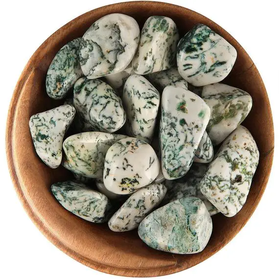 1 Tree Agate - Ethically Sourced Tumbled Stone