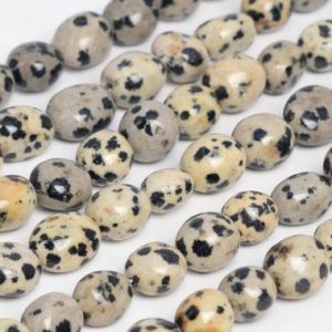Genuine Natural Dalmatian Jasper Loose Beads Pebble Nugget Shape 8-10mm | Natural genuine chip Jasper beads for beading and jewelry making.  #jewelry #beads #beadedjewelry #diyjewelry #jewelrymaking #beadstore #beading #affiliate #ad
