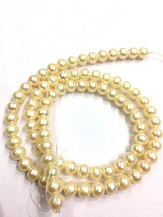 Freshwater Pearl Beads Genuine Pearl Round Beads 5.5.mm High Luster Pearl Round Beads 15.5 Inch Strand Top Quality