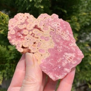 Shop Rhodochrosite Stones & Crystals! 3.7" RHODOCHROSITE STALACTITE Crystal – Raw Stone – Natural – One Face Flat – Meditation Stone- Collectible Mineral Specimen- From Argentina | Natural genuine stones & crystals in various shapes & sizes. Buy raw cut, tumbled, or polished gemstones for making jewelry or crystal healing energy vibration raising reiki stones. #crystals #gemstones #crystalhealing #crystalsandgemstones #energyhealing #affiliate #ad