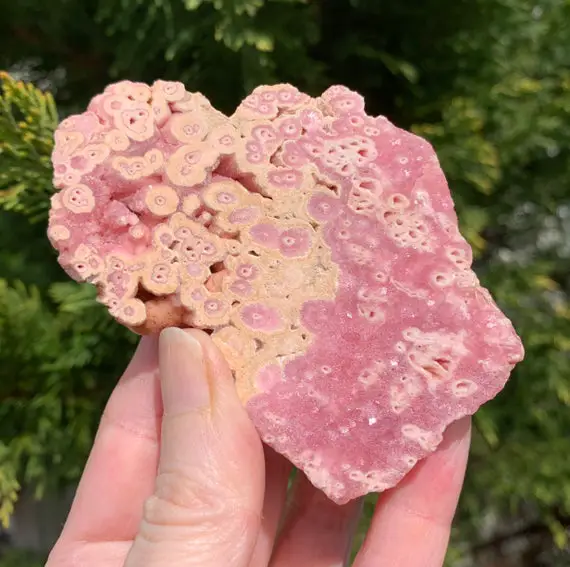 3.7" Rhodochrosite Stalactite Crystal - Raw Stone - Natural - One Face Flat - Meditation Stone- Collectible Mineral Specimen- From Argentina