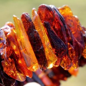 Shop Amber Bracelets! Raw dark Baltic Amber Bracelet Statement Jewelry Massive Cuff OOAK Stretch Big earthy Colors Natural Summer Fashion Gift for Nature lover | Natural genuine Amber bracelets. Buy crystal jewelry, handmade handcrafted artisan jewelry for women.  Unique handmade gift ideas. #jewelry #beadedbracelets #beadedjewelry #gift #shopping #handmadejewelry #fashion #style #product #bracelets #affiliate #ad