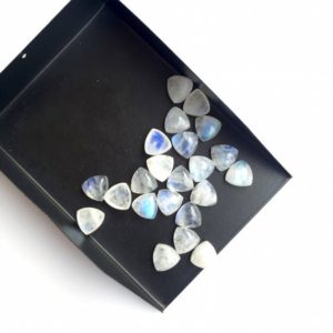 Shop Rainbow Moonstone Cabochons! 20 Pieces 8mm Matched Pairs AAA Rainbow Moonstone Trillion Shaped Smooth Loose Gemstones SKU-MS45 | Natural genuine stones & crystals in various shapes & sizes. Buy raw cut, tumbled, or polished gemstones for making jewelry or crystal healing energy vibration raising reiki stones. #crystals #gemstones #crystalhealing #crystalsandgemstones #energyhealing #affiliate #ad