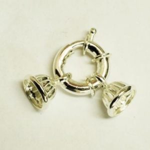 Shop Clasps for Making Jewelry! Silver Plated Spring Ring Clasp | Shop jewelry making and beading supplies, tools & findings for DIY jewelry making and crafts. #jewelrymaking #diyjewelry #jewelrycrafts #jewelrysupplies #beading #affiliate #ad