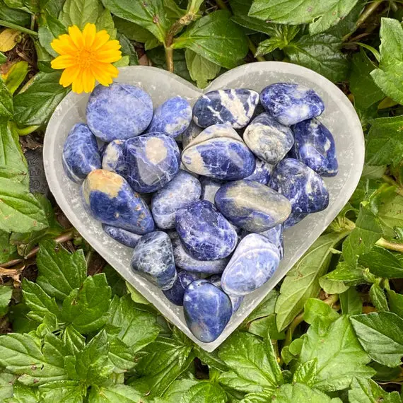 Sodalite, Sodalite Tumble Stone, Tumbled Sodalite, Polished Sodalite, Smooth, Natural, Meditation Crystals