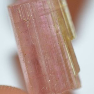 Watermelon Rough Tourmaline Crystal 2,85 g 1PCs Natural Gemstone Afghanistan | Natural genuine stones & crystals in various shapes & sizes. Buy raw cut, tumbled, or polished gemstones for making jewelry or crystal healing energy vibration raising reiki stones. #crystals #gemstones #crystalhealing #crystalsandgemstones #energyhealing #affiliate #ad