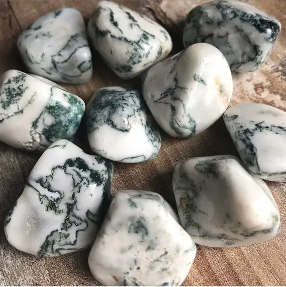 Tree Agate Tumbled Crystals