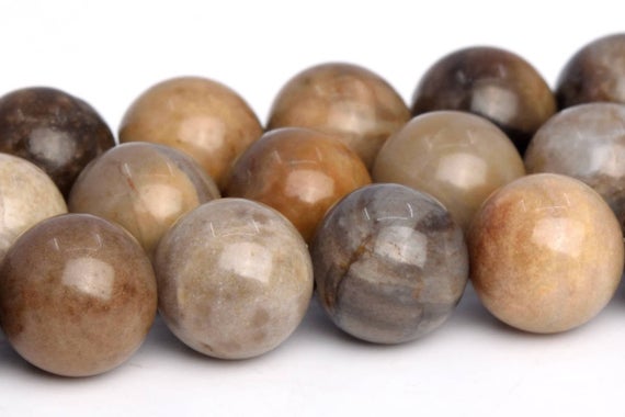 8mm Gray Brown Petrified Wood Jasper Beads Grade Aaa Genuine Natural Gemstone Round Loose Beads 15.5" / 7.5" Bulk Lot Options (103038)
