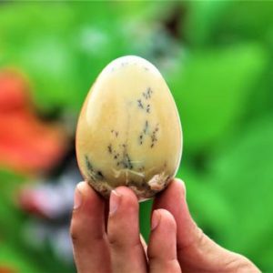Shop Opal Shapes! Natural Yellow Dendritic Opal Stone 70MM Metaphysical Healing Power Egg | Natural genuine stones & crystals in various shapes & sizes. Buy raw cut, tumbled, or polished gemstones for making jewelry or crystal healing energy vibration raising reiki stones. #crystals #gemstones #crystalhealing #crystalsandgemstones #energyhealing #affiliate #ad