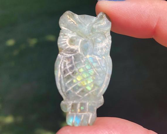 1.6" Labradorite Owl Cabochon  Owl Carving   Flashy Gemstone Crystal Cab #5