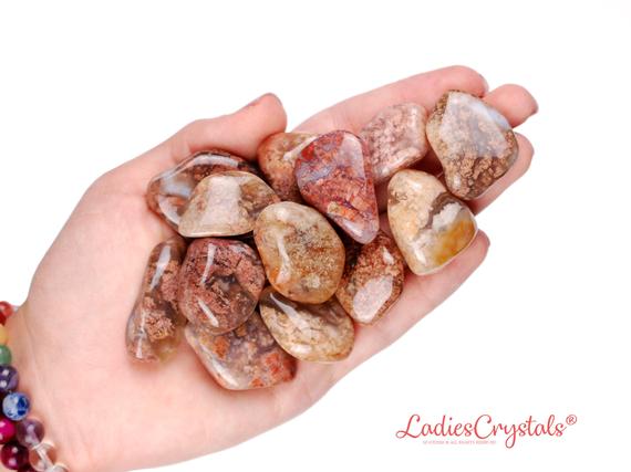 Pink Moss Agate Tumbled Stone, Pink Moss Agate, Tumbled Stones, Agate, Crystals, Stones, Gifts, Rocks, Gems, Gemstones, Zodiac Crystals