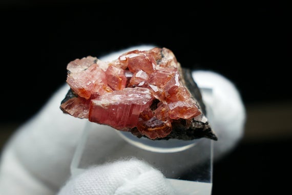 28 Rhodochrosite Exceptional Mineral Specimen From Peru