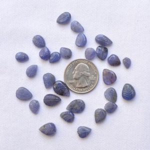 Shop Tanzanite Shapes! Tanzanite Leaf Carving, Hand Carved, Gemstone Engraving, Mix Shape and Size Carving Stones, Carving Jewelry, 6×8 – 9x17mm, 10 Pcs Lot #P0260 | Natural genuine stones & crystals in various shapes & sizes. Buy raw cut, tumbled, or polished gemstones for making jewelry or crystal healing energy vibration raising reiki stones. #crystals #gemstones #crystalhealing #crystalsandgemstones #energyhealing #affiliate #ad