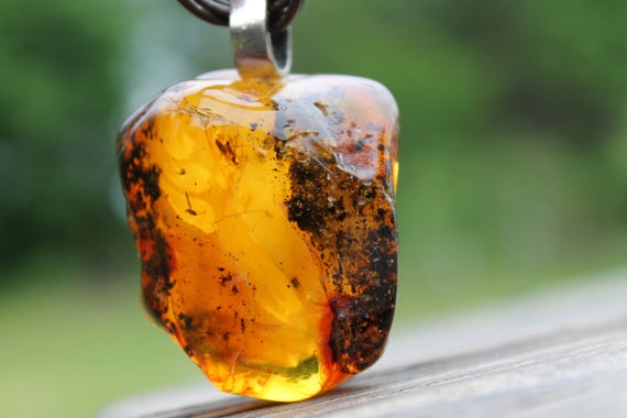 Amber With Inclusion Insect Pendant Fossil  Jewelry Rough Stone Prehistoric Mens Necklace