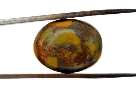Conglomerate Jasper Cabochon Gemstone  (19mm X 15mm X 5mm) - Loose Stone - Natural Jasper